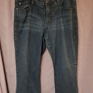 Torrid Source of Wisdom Jeans size 22